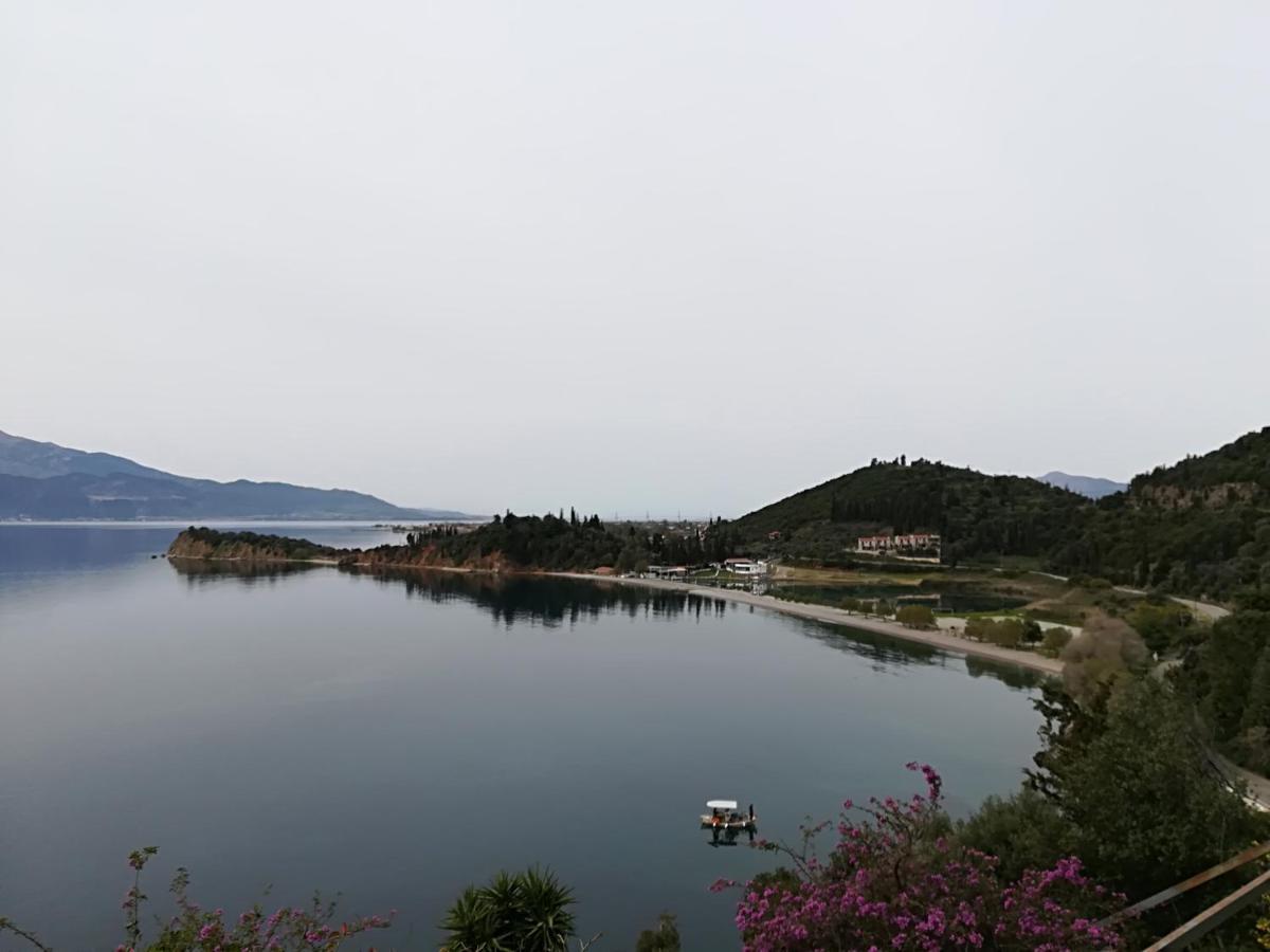 Thea Monastiraki Bed & Breakfast ภายนอก รูปภาพ